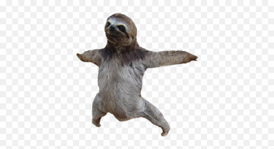 Sloth Png Image U2013 Lux - Sloth Transparent Png,Sloth Icon