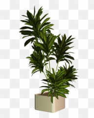 Download 0 9ddc0 C1252162 Xxl Cut Out - Plantas Png Para Render,Greenery Png