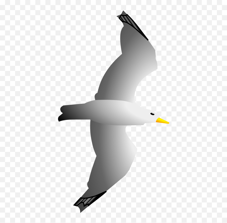 Seagull Clipart Free Images Image 2 - Flying Seagull Clip Art Png,Seagull Png