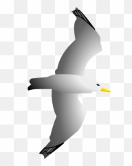 Seagull Clipart Free Images Image 2 - Flying Seagull Clip Art Png,Seagull Png