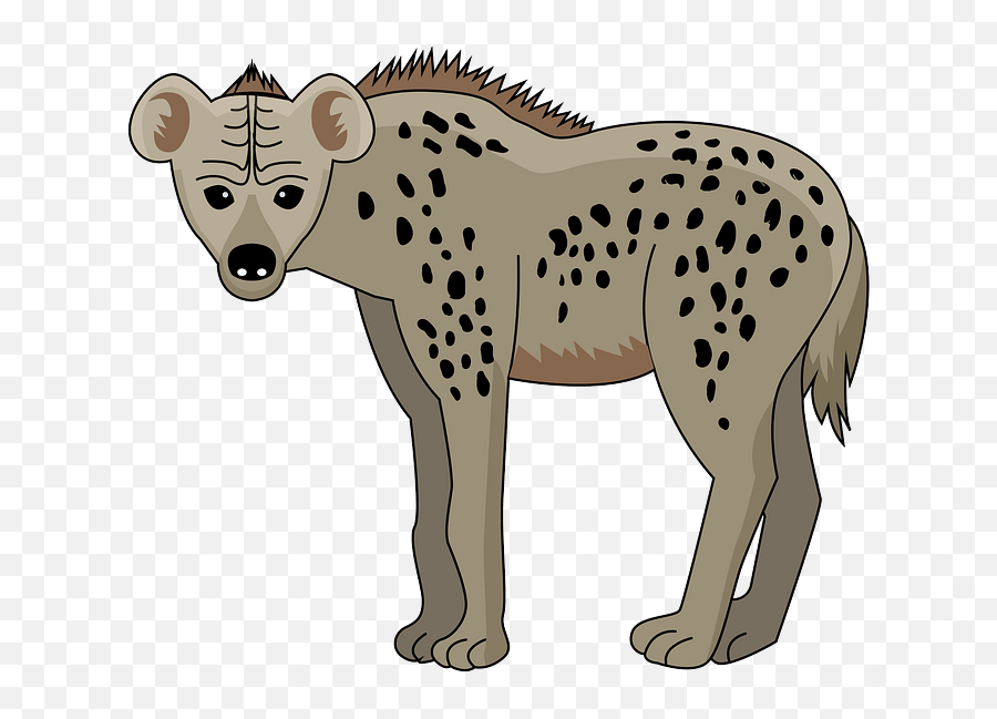 Spotted Hyena Clipart Free Download Creazilla Png