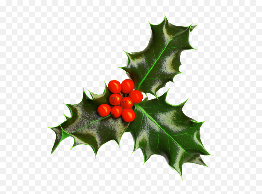 Transparent Background Free Png Images - Christmas Holly Transparent Background,Christmas Holly Png