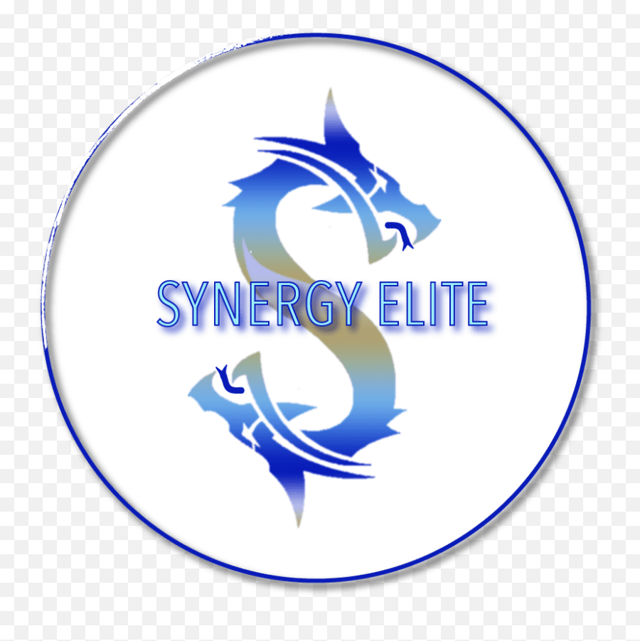 Synergy Elite Inc - Crunchbase Company Profile U0026 Funding Synergy Elite Png,Synergy Icon