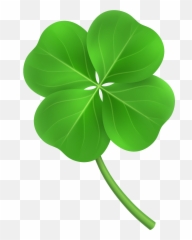 Clover Png Transparent Free Images