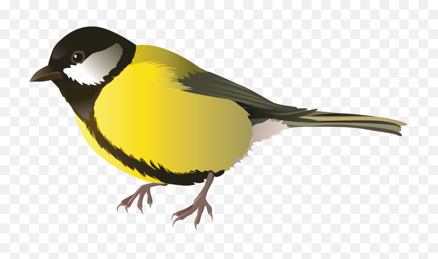 Download - Bird Png Clipart,Sparrow Png
