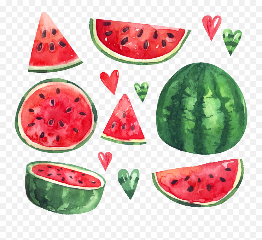 Download Summer Citrullus Ice Euclidean Vector Watermelon - Transparent Watermelon Watercolor Clipart Png,Watermelon Png Clipart