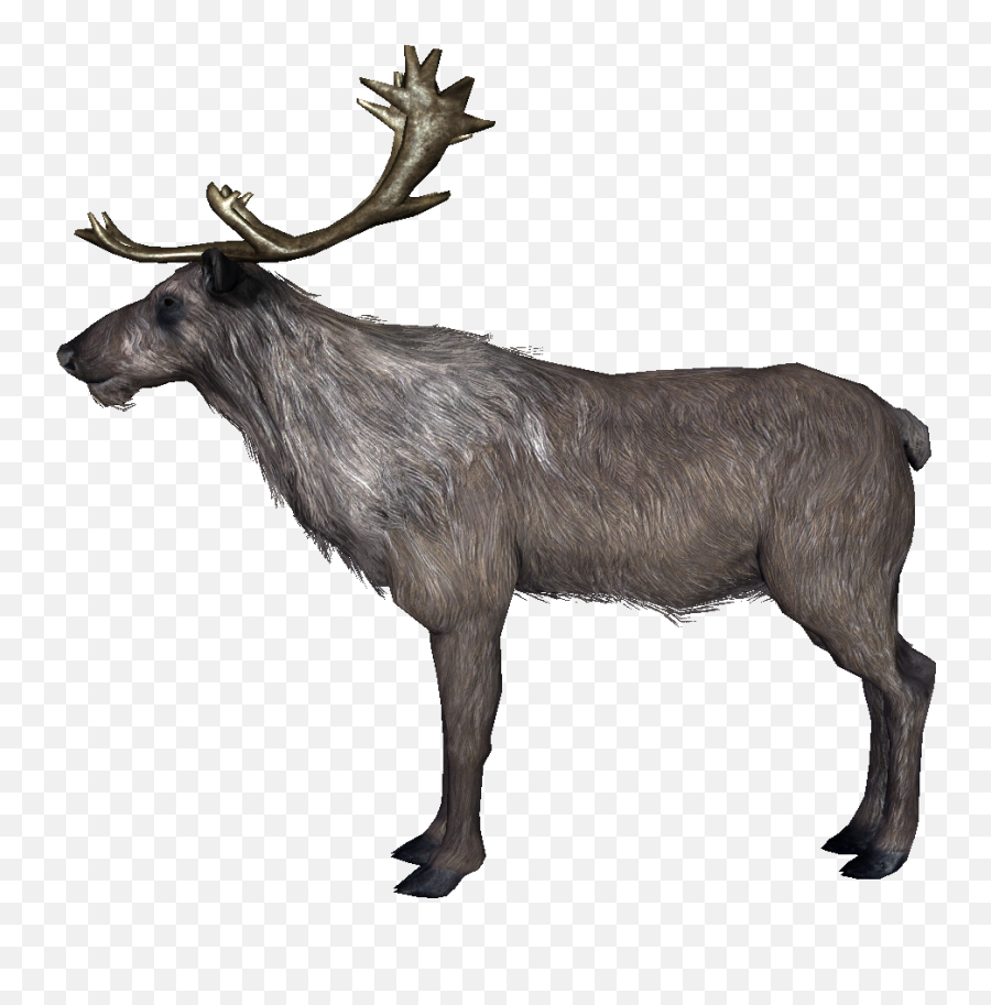 Deer - Skyrim Wiki Skyrim Deer Png,Deer Png