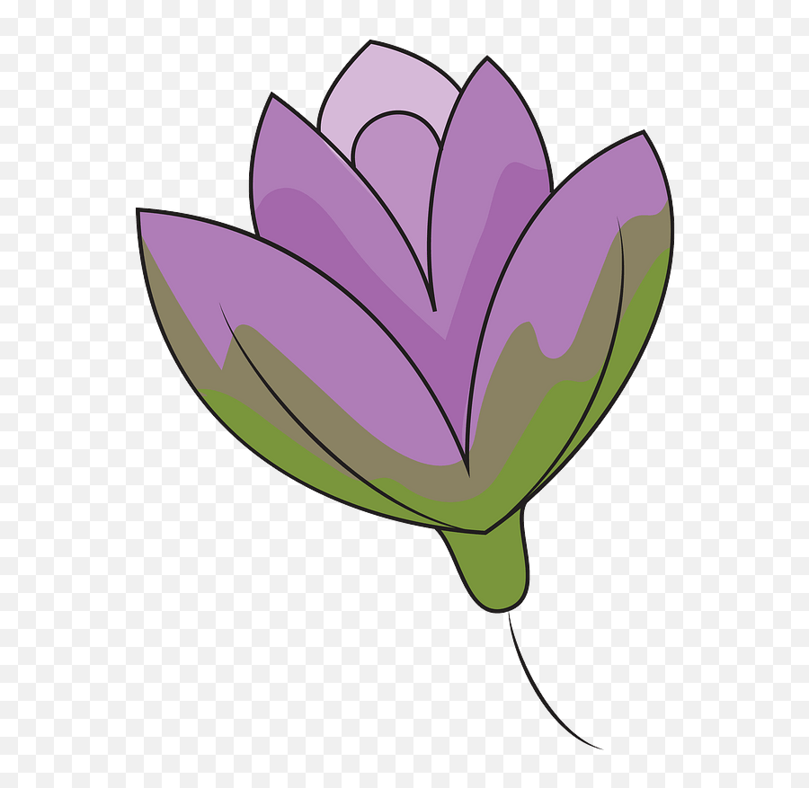 Lily Flower Clipart Free Download Transparent Png Creazilla - Tulip,Lily Transparent