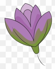 Lily Flower Clipart Free Download Transparent Png Creazilla - Tulip,Lily Transparent