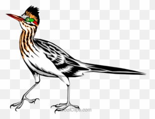 Roadrunner Royalty Free Vector Clip Art - Transparent Roadrunner Clipart Png,Road Runner Png