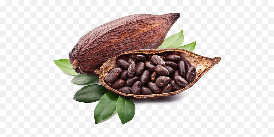 Why Raw - Transparent Cocoa Png,Cacao Png