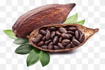 Why Raw - Transparent Cocoa Png,Cacao Png