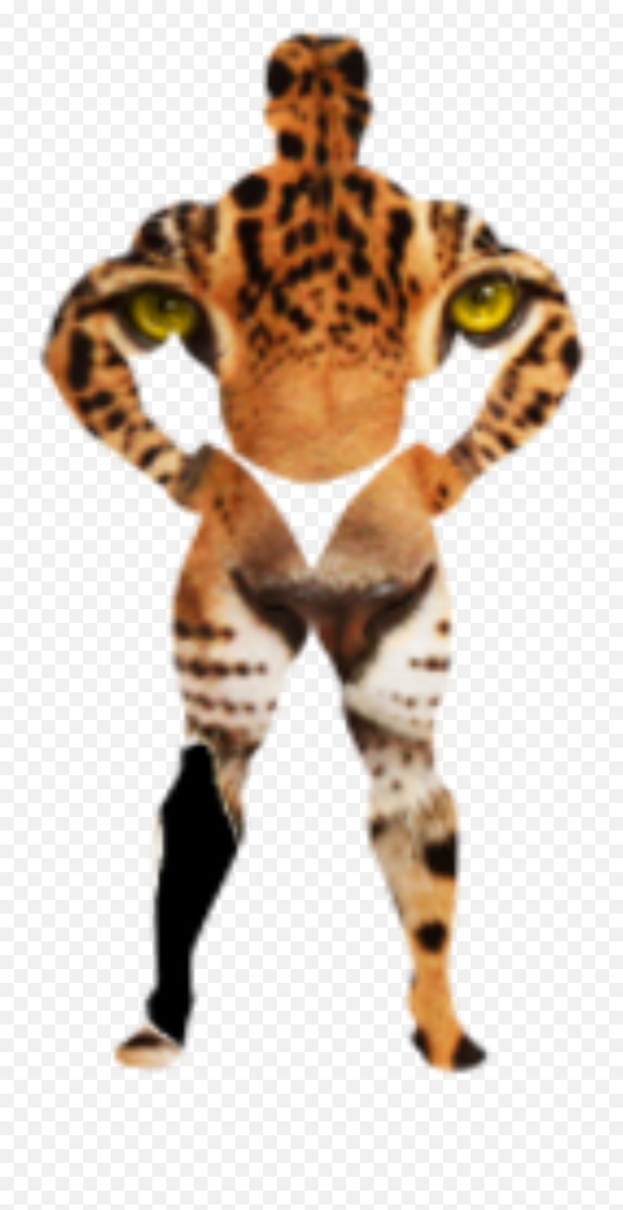 Leopard Png - This Free Icons Png Design Of Leopard In The,Leopard Png