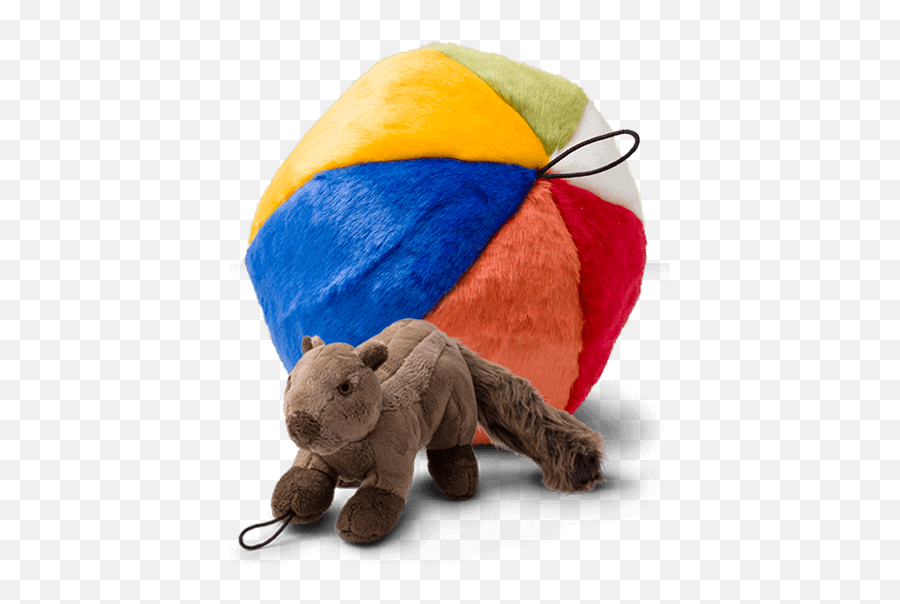 Dog Toys - Mud Bay Soft Png,Dog Toy Png