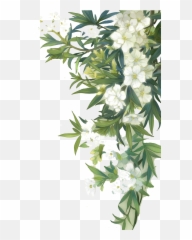 And Familiar Leaves Watercolour Green Blooming Wild - Green White Flowers Png,Green Flower Png
