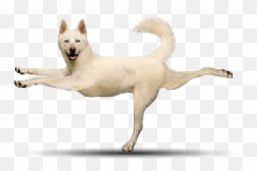 Poo Patrol U2014 Pets Get Physical - Yoga Poses With Dog Png,Dog Poop Png