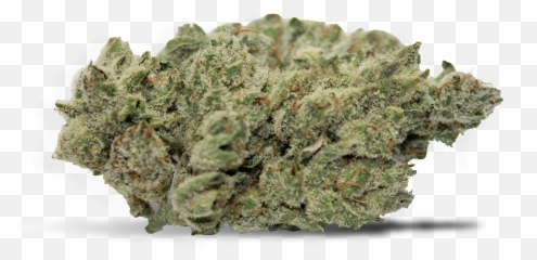 Weed Bud Png - Emdawg Product Image Shortleaf Black Spruce Language,Weed Nugget Png