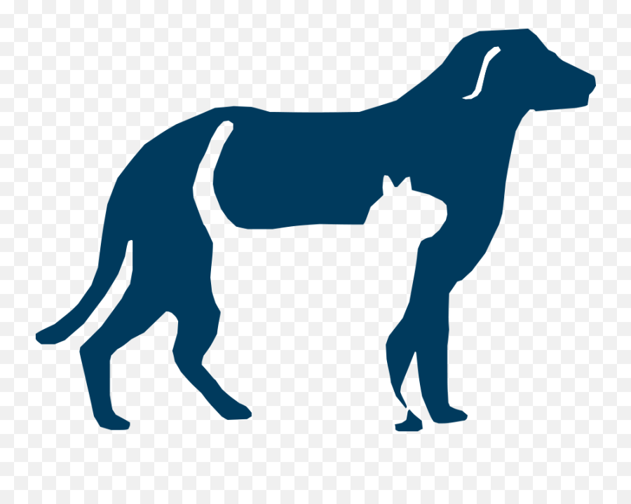 Vet Assistant Png Transparent - Humane Society Of San Bernardino Valley Logo,Veterinarian Png