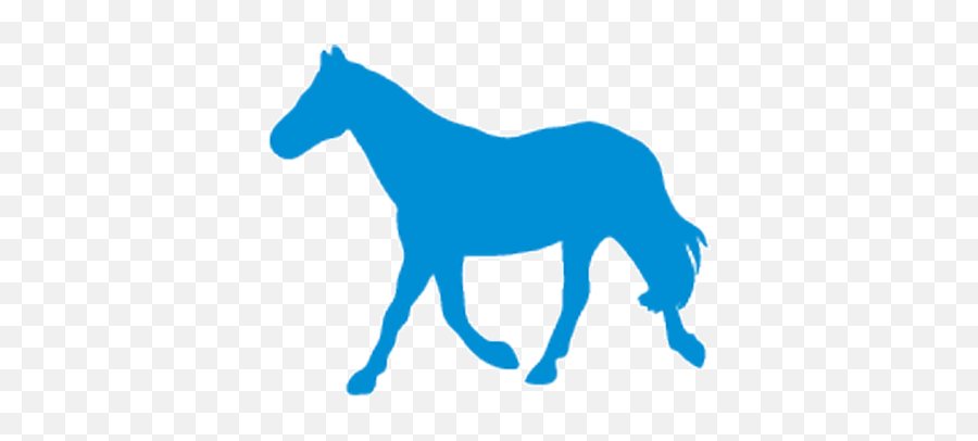 Horse Anatomy - Wikivet English Horse Blue Png,Horse Logo Png