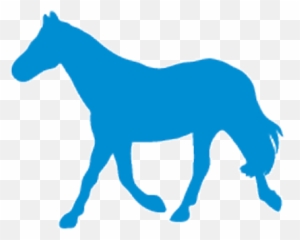 Horse Anatomy - WikiVet English Blue Png
