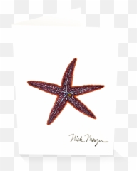 Starfish I - Starfish Png,Starfish Transparent