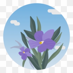 Vegetation Flowers Plants Teide - Grasses Png,Ramona Flowers Icon