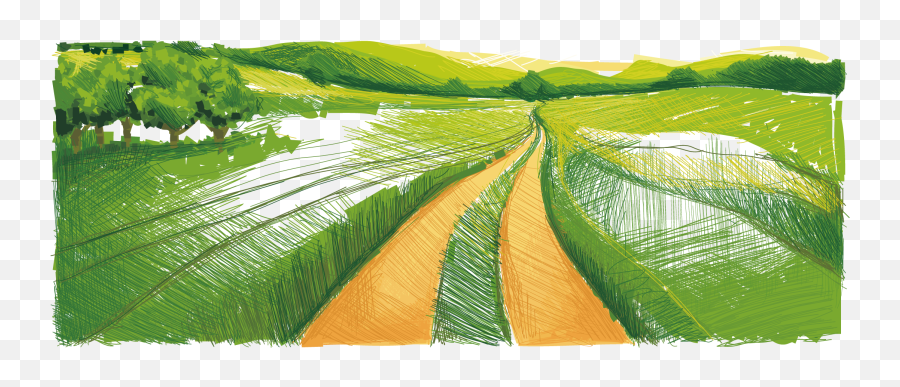 Download Material Farm Work Illustration Field Vector - Paddy Field Cartoon Png,Field Png