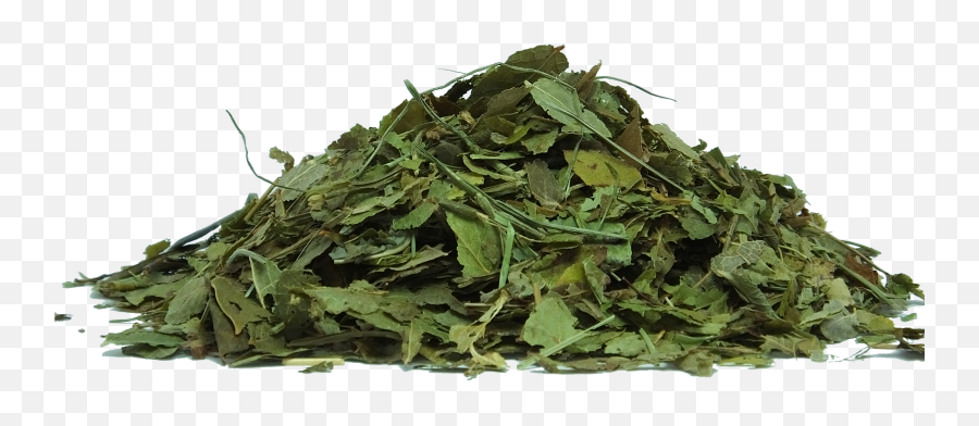 Herbs To Use Indian Ginseng Withania Somnifera - Transparent Png,Herbs Png