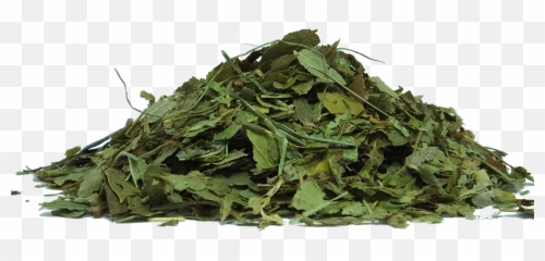 Herbs To Use Indian Ginseng Withania Somnifera - Transparent Png,Herbs Png