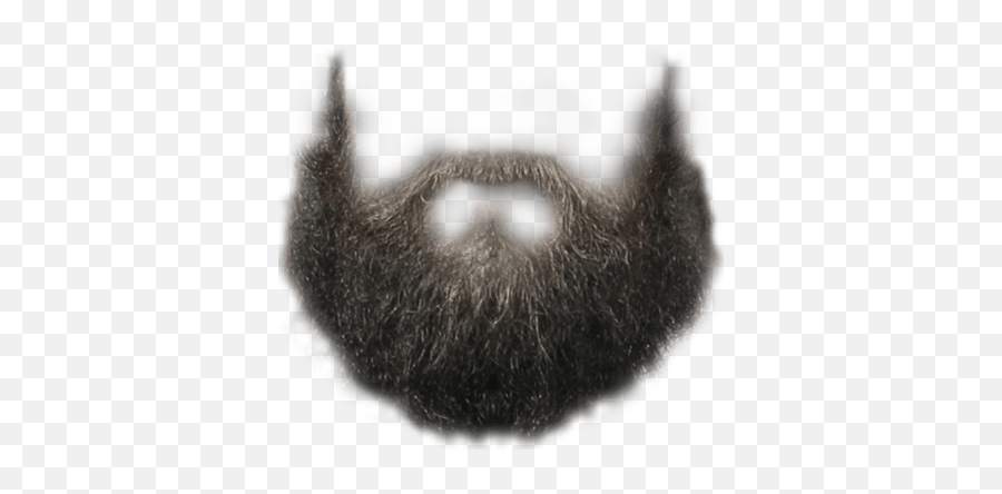 Perfect Hipster Beard Transparent Png - Beard Png,Beard Transparent Background
