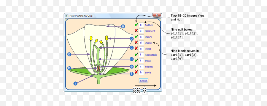 Small Basic Flower Anatomy Quiz - Technet Articles United Screenshot Png,Red X Mark Png