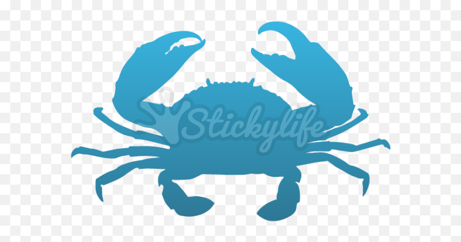 Download Crabs Clipart Blue Crab - Crabs Png Png Image With Mud Crab Kerala,Crab Transparent Background