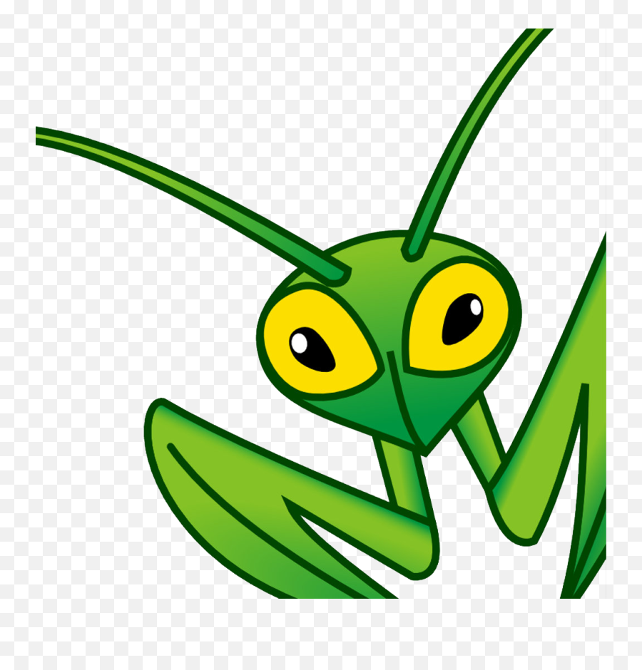 Mantis Png Download Image With Transparent Background - Mantis Bug Tracker Png,Mantis Png