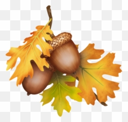 Gems Cottage Blog Archive - Fall Leaves Acorn png