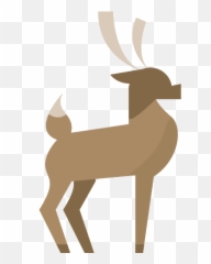 Seashell Png Icon 34 - Repo Free Icons Roe Deer