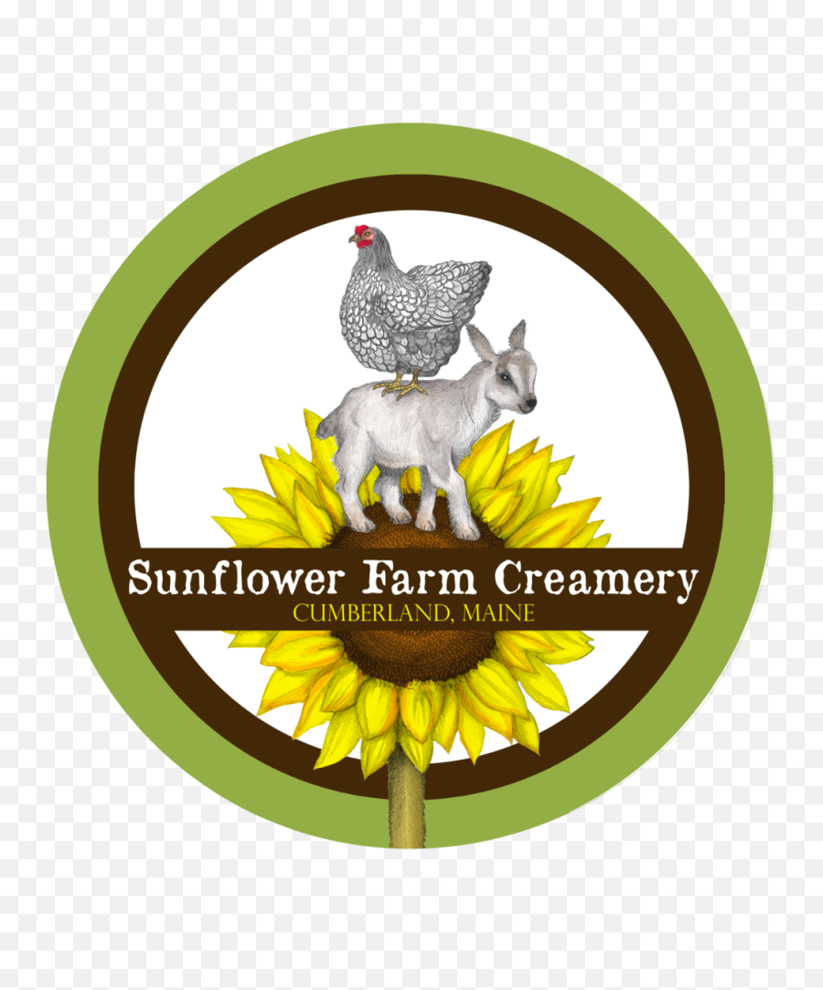 Our Products U2014 Sunflower Farm Creamery - Sunflower Farm Maine Png,Sunflower Logo