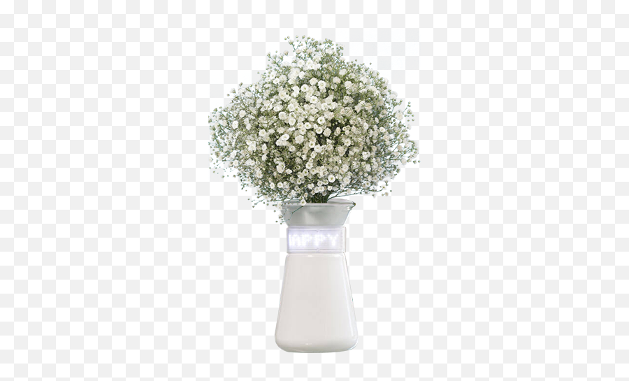 Babys Breath Flowers For Sale Express - Vase Png,Baby's Breath Png