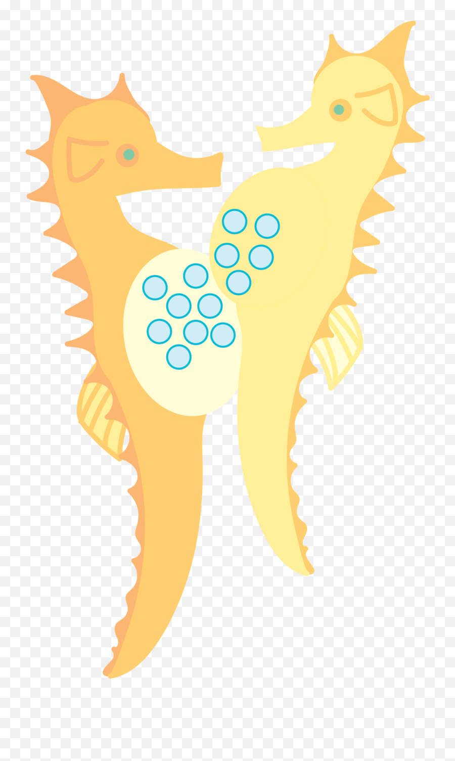 Seahorse Pregnant - Seahorse 1000x1629 Png Clipart Download Illustration,Seahorse Png