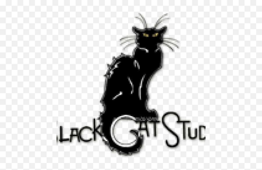 Services U2013 Black Cat Studio - Black Cat Png,Black Cat Logo