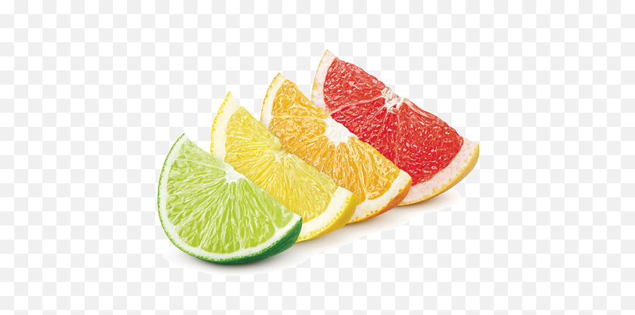 A Citrus History - Lime Lemon Orange Grapefruit 503x367 Lemon Lime Orange Grapefruit Png,Grapefruit Png