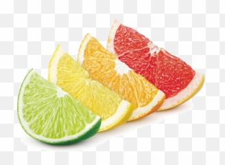 A Citrus History - Lime Lemon Orange Grapefruit 503x367 Lemon Lime Orange Grapefruit Png,Grapefruit Png