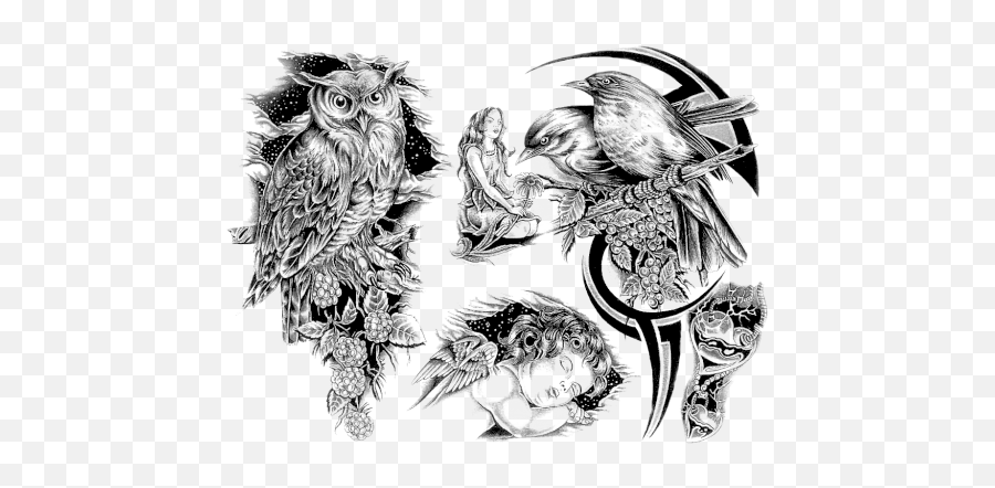 Tattoo Background Designs For Sleeves - Transparent Background Background Tattoo Designs Png,Tattoo Sleeve Png