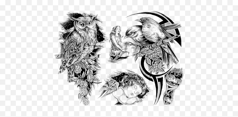 Tattoo Background Designs For Sleeves Transparent Background Background Tattoo Designs Png Tattoo Sleeve Png Free Transparent Png Images Pngaaa Com