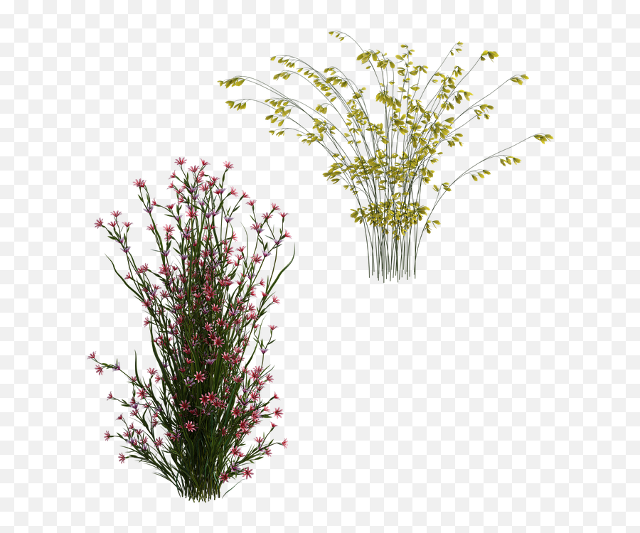 Shrubs Pretty Flowers - Free Image On Pixabay Bouquet Png,Shrubs Png