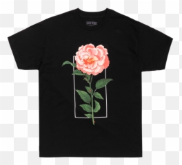 The Tour Flower T - Shirt Shawn Mendes Tshirt Merch Png,Shawn Mendes Png