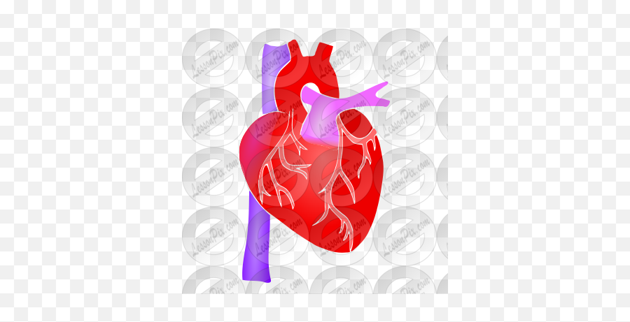 Human Heart Stencil For Classroom Therapy Use - Great Graphic Design Png,Human Heart Png