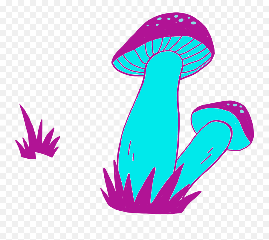 Edible Mushroom Transparent Cartoon - Jingfm Wild Mushroom Png,Mushroom Transparent
