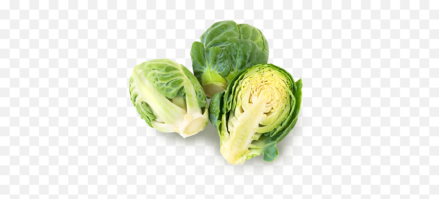 Brussels Sprouts The Oppenheimer Group - Cabbage And Brussels Sprouts Png,Sprout Png