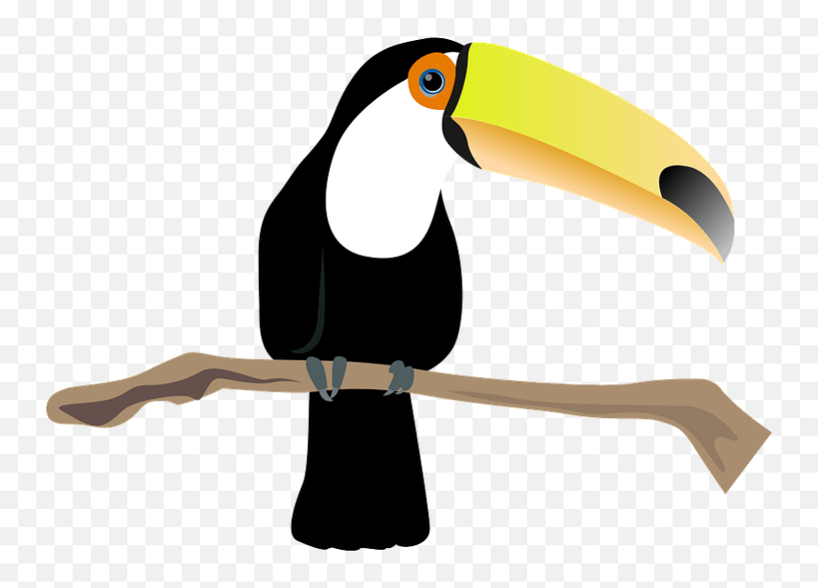 Toco Toucan Bird Clipart Free Download Transparent Png