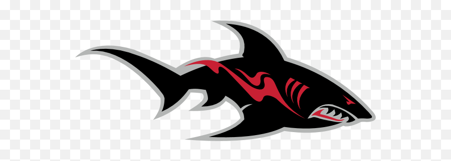 Jacksonville Sharks Logo Download - Logo Icon Png Svg Shark Logo Vector Png,Shark Logo Png